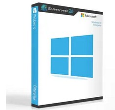 Microsoft Windows 11 Enterprise